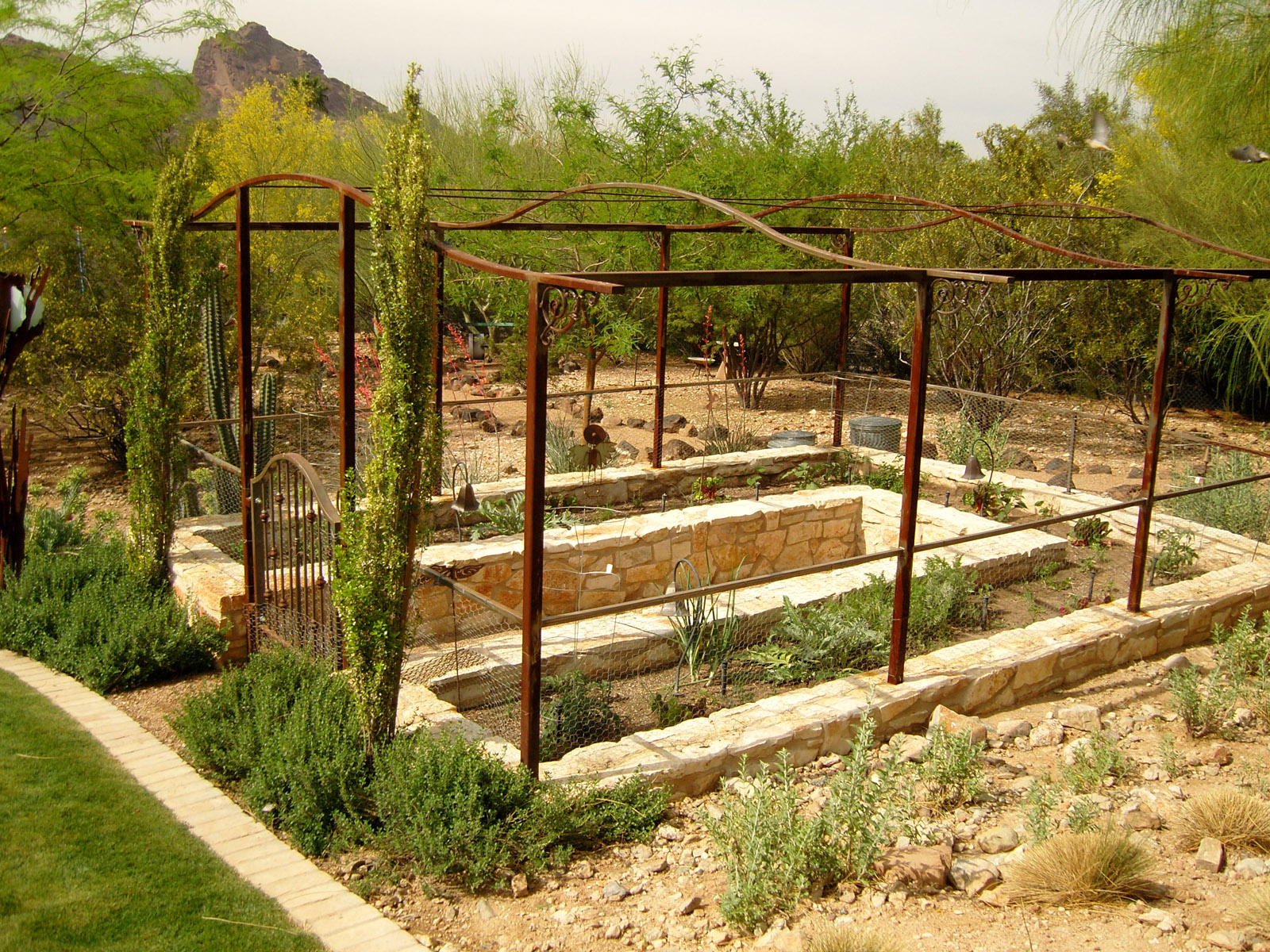 Rectorlee 4 5 07 (4)